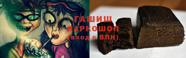 гидра Богородск