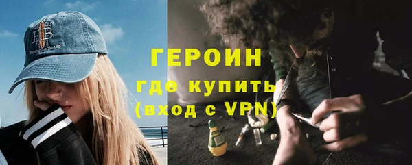 гидра Богородск