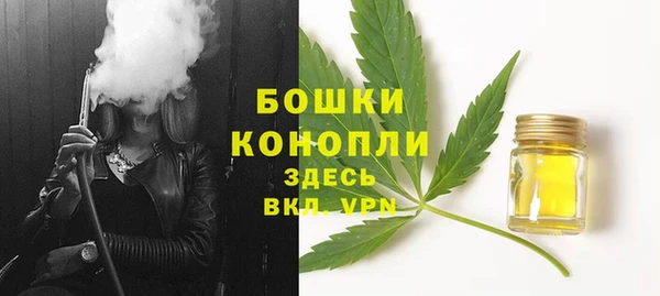 a pvp Белокуриха