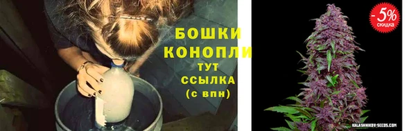 mix Вяземский