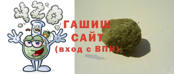 гидра Богородск