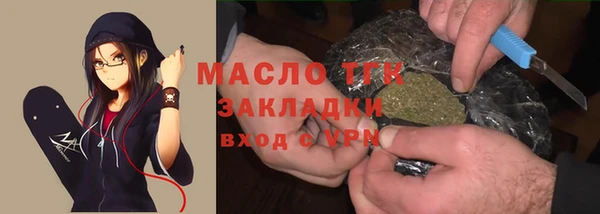 гидра Богородск