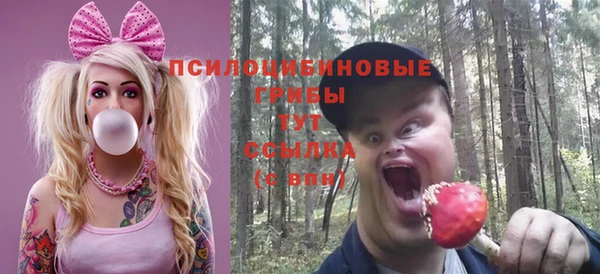 гидра Богородск