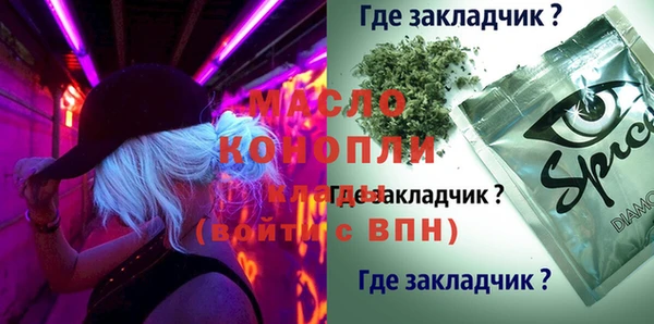 ECSTASY Богданович
