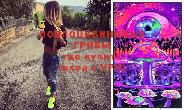 гидра Богородск