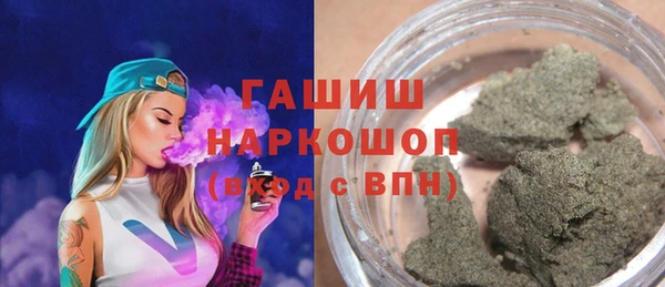 гидра Богородск