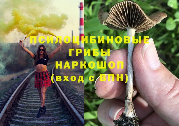 гидра Богородск