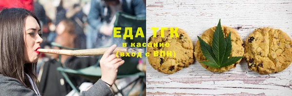 гидра Богородск